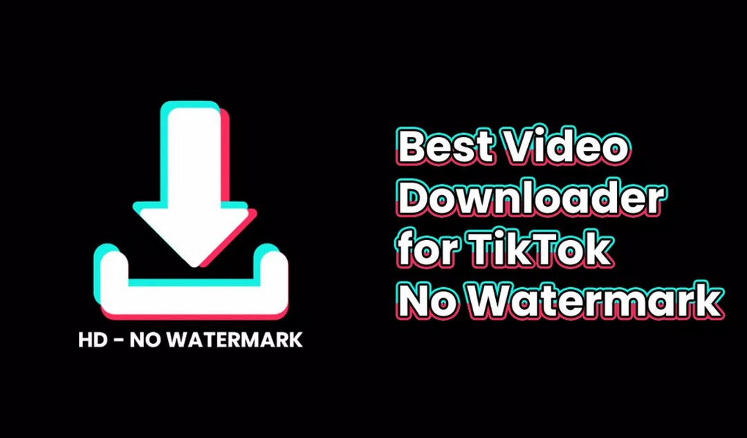 SnapTik - App tải video TikTok không logo trên iPhone và Android