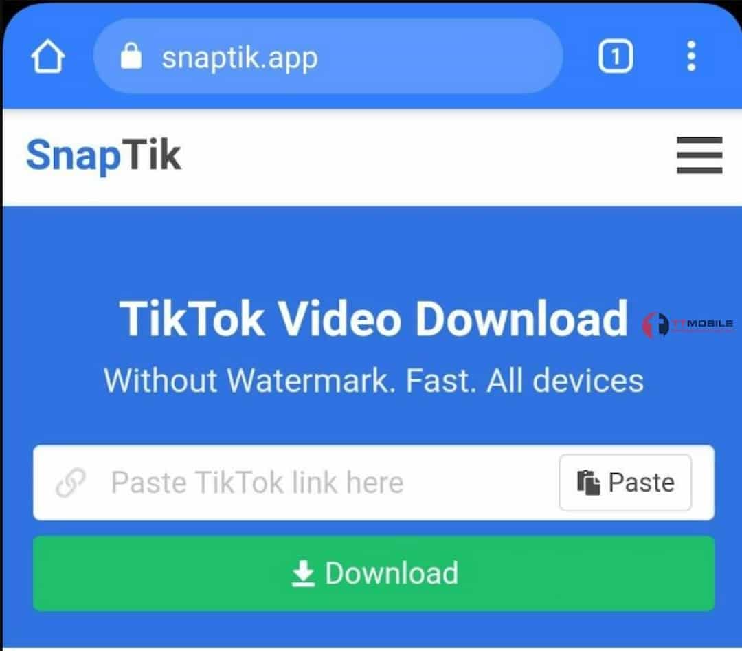Hỗ trợ tải nhạc TikTok, ảnh bìa video TikTok về máy.