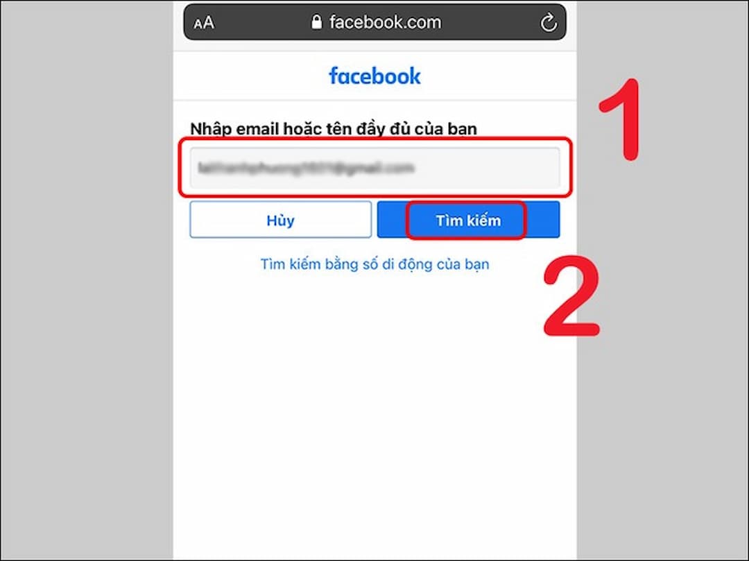 Nhập email hoặc số điện thoại đăng ký tài khoản Facebook của bạn > Chọn Tìm kiếm.